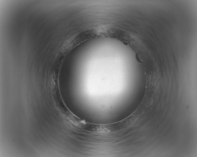X0000067330702200603311100