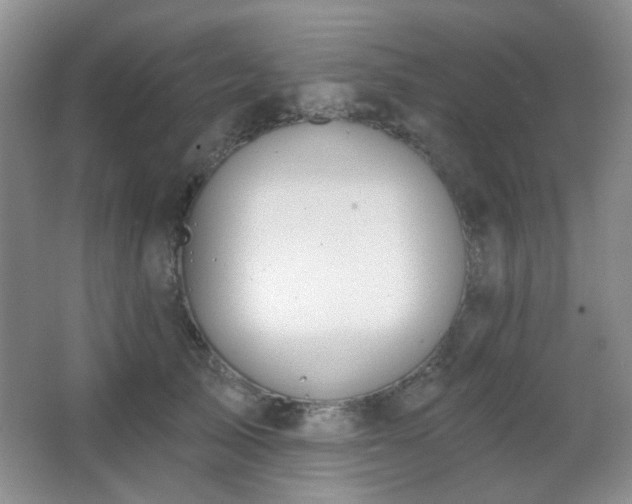 X0000067330705200603311100