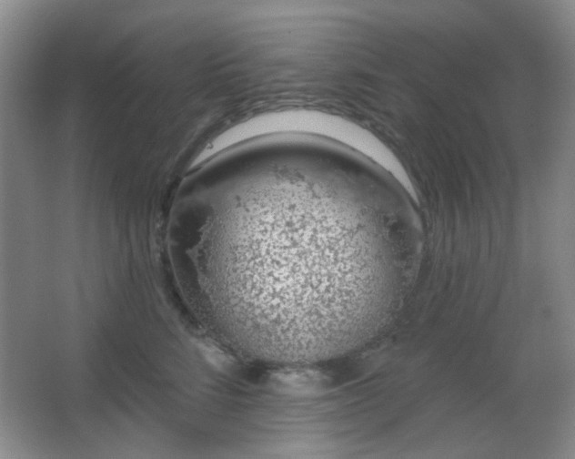 X0000067330712200603311100