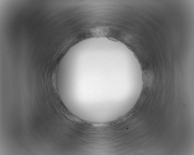 X0000067330713200603311100