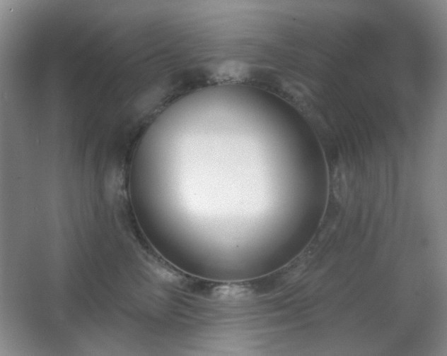X0000067330714200603311100