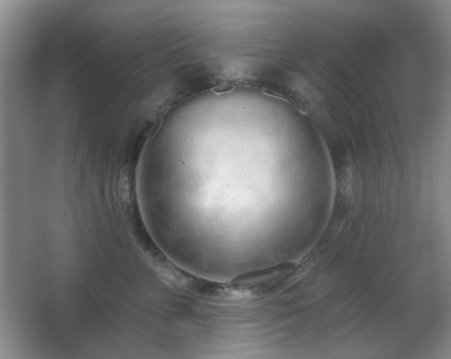 X0000067330715200603311100