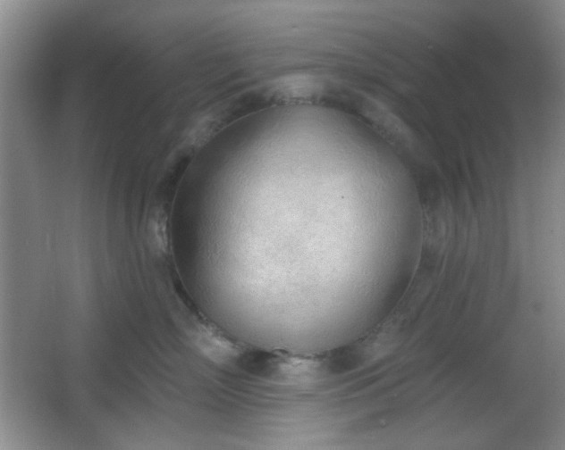 X0000067330718200603311100