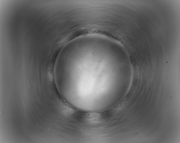 X0000067330719200603311100