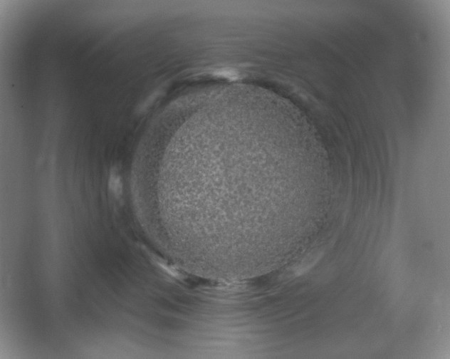 X0000067330720200603311100