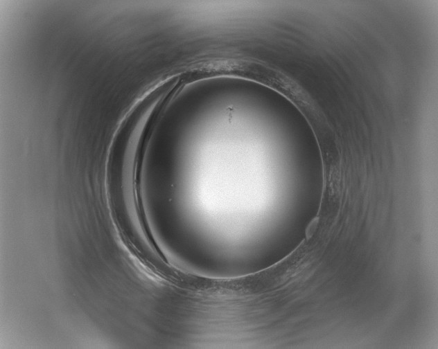 X0000067330722200603311059