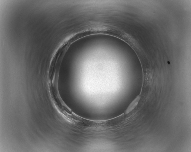 X0000067330726200603311059