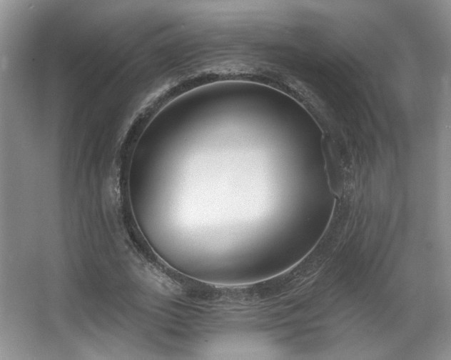 X0000067330727200603311059