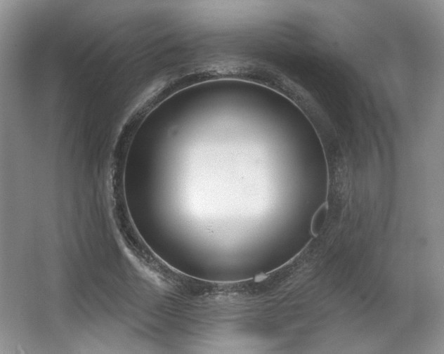 X0000067330730200603311059