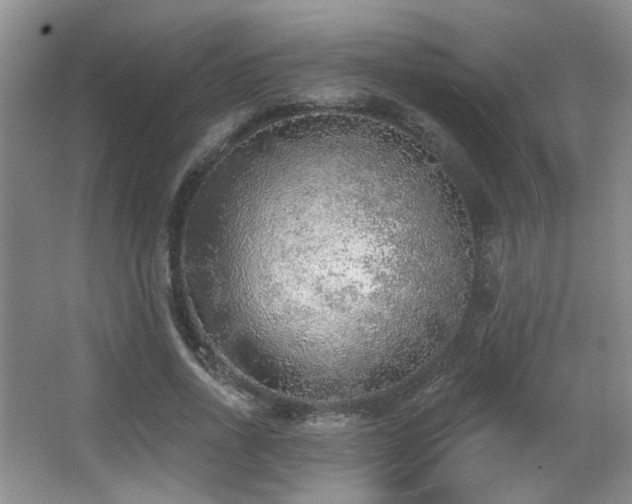 X0000067330734200603311059