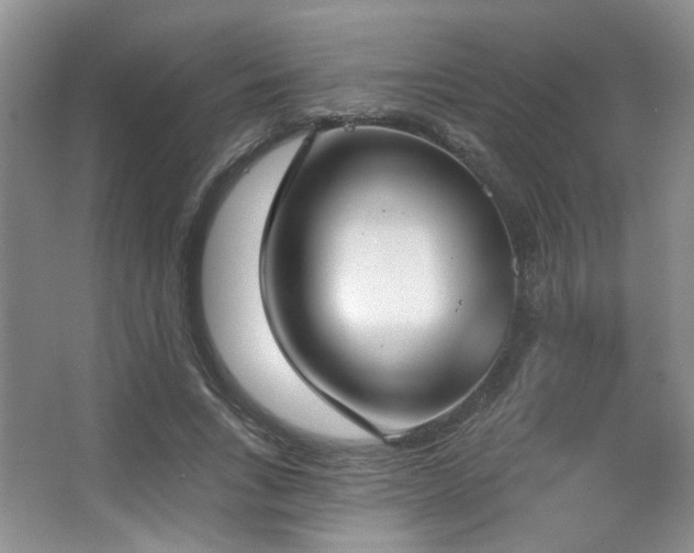 X0000067330735200603311059