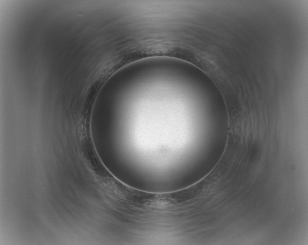 X0000067330743200603311059