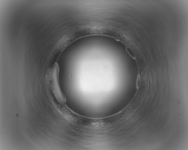 X0000067330744200603311059