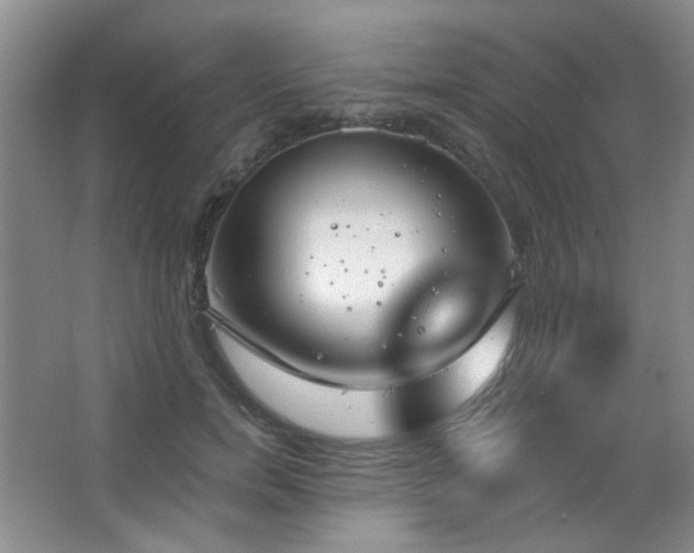 X0000067330750200603311059