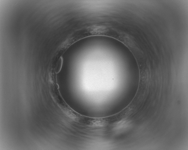 X0000067330755200603311100