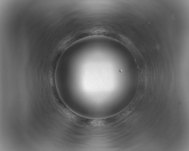 X0000067330762200603311100