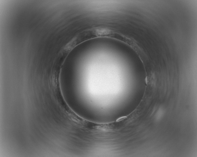 X0000067330763200603311100
