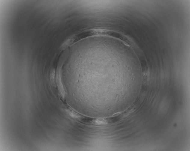 X0000067330765200603311100