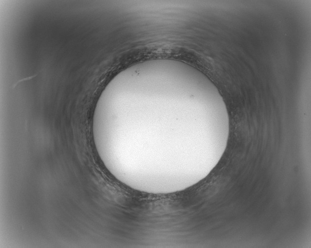 X0000067330769200603311059