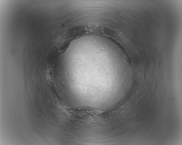 X0000067330770200603311059