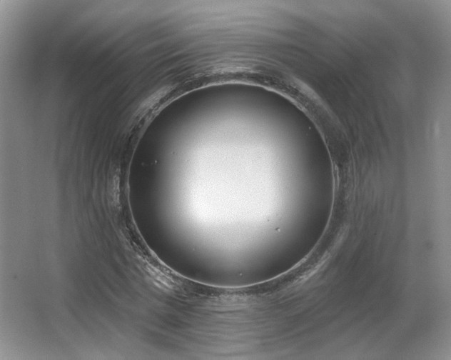 X0000067330777200603311059