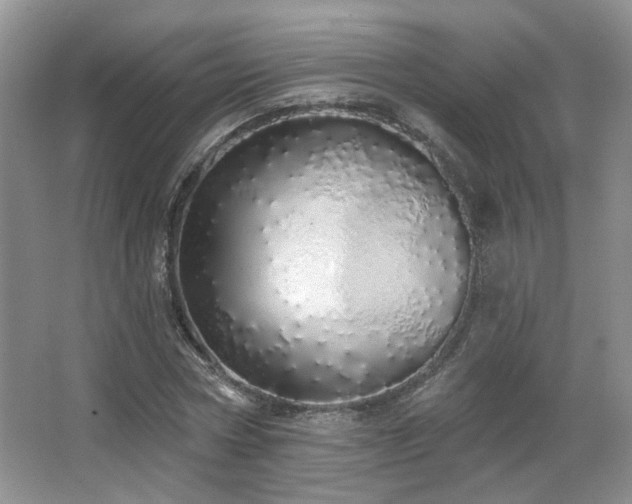 X0000067330778200603311059