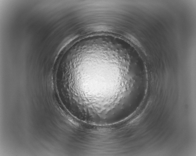 X0000067330782200603311059