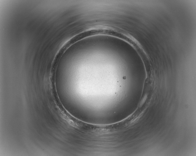 X0000067330783200603311059