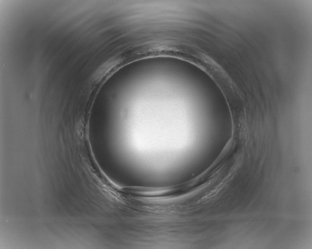 X0000067330785200603311059