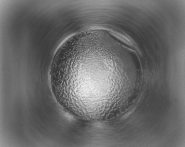 X0000067330814200603311058