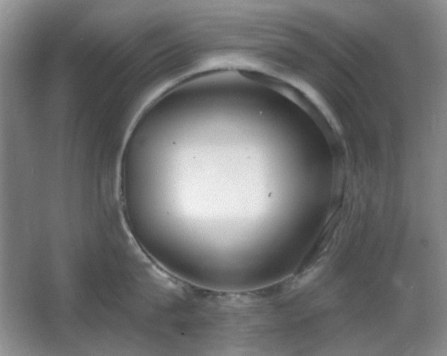 X0000067330815200603311058