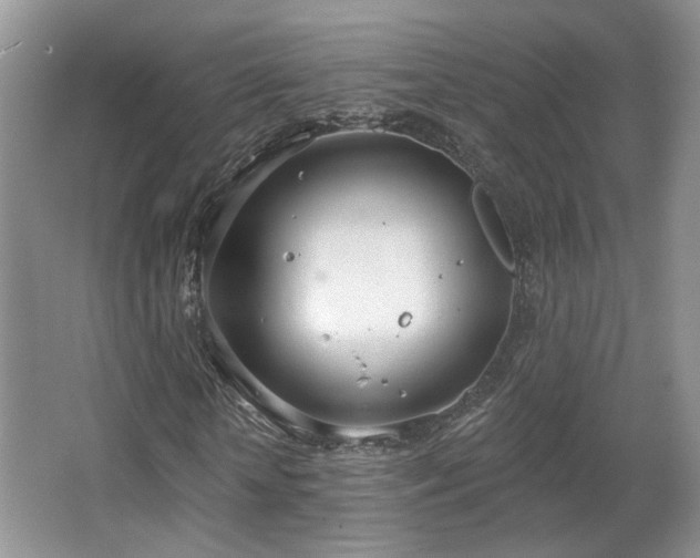 X0000067330818200603311057