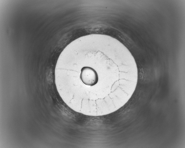 X0000067330820200603311057