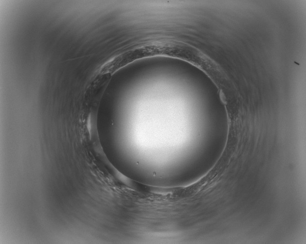 X0000067330822200603311057