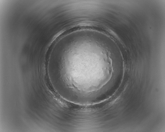 X0000067330829200603311058