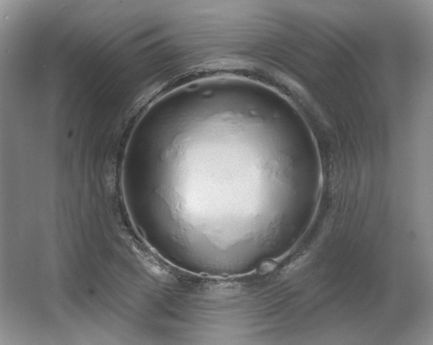 X0000067330833200603311058