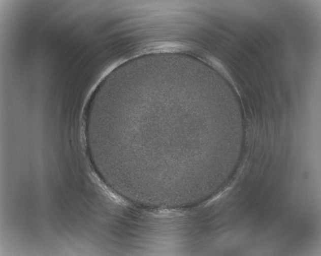 X0000067330835200603311058
