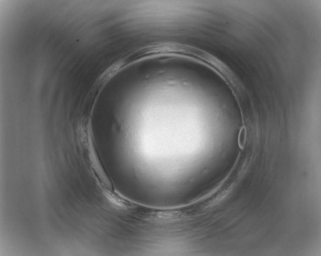 X0000067330857200603311058