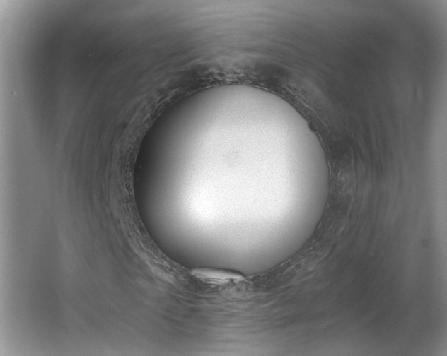 X0000067330865200603311057