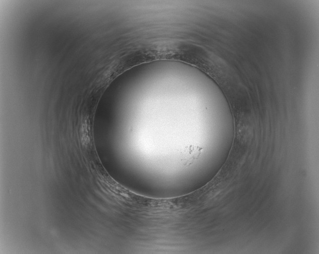 X0000067330866200603311057