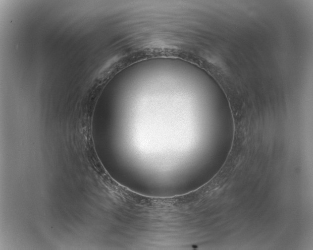 X0000067330870200603311057