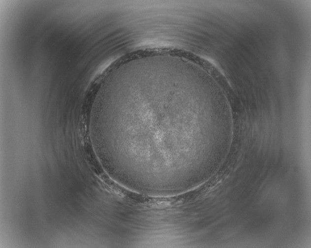 X0000067330871200603311057