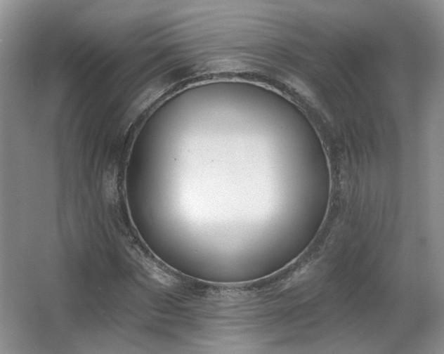 X0000067330873200603311057