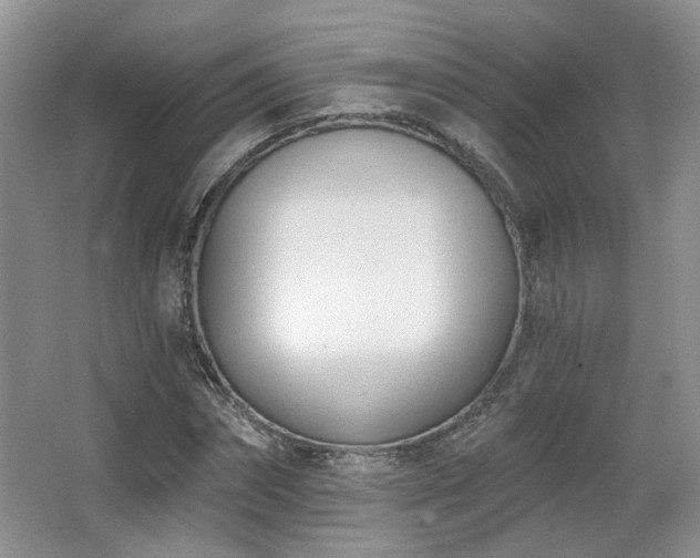 X0000067330874200603311057