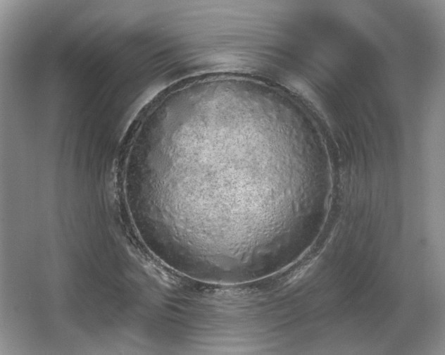 X0000067330875200603311057