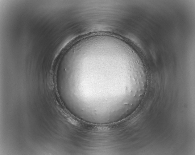X0000067330878200603311057