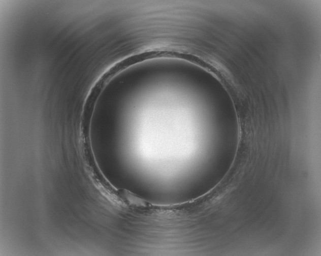 X0000067330880200603311057