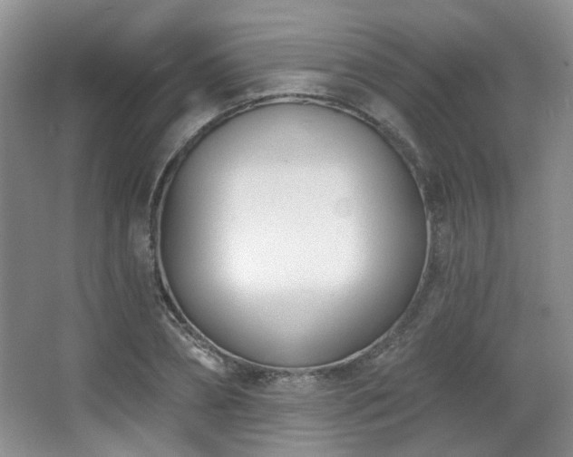 X0000067330882200603311057
