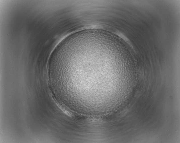 X0000067330886200603311057