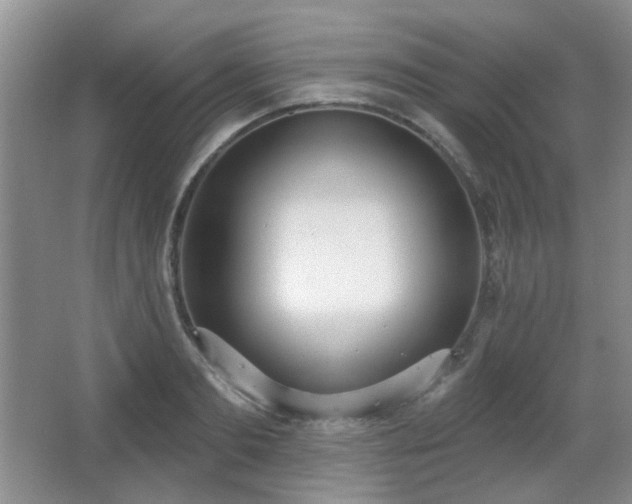X0000067330893200603311057